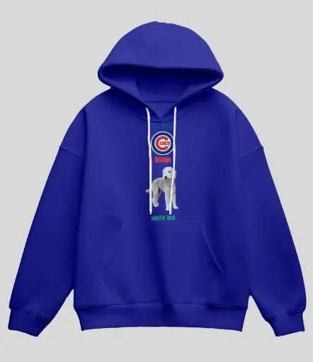 Custom Hoodie Sweatshirts Different Colors Sizes Adult